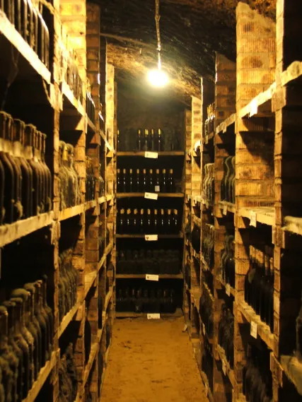 214292568_b05b0a9fea_b.jpg?format=webp&width=427&height=570