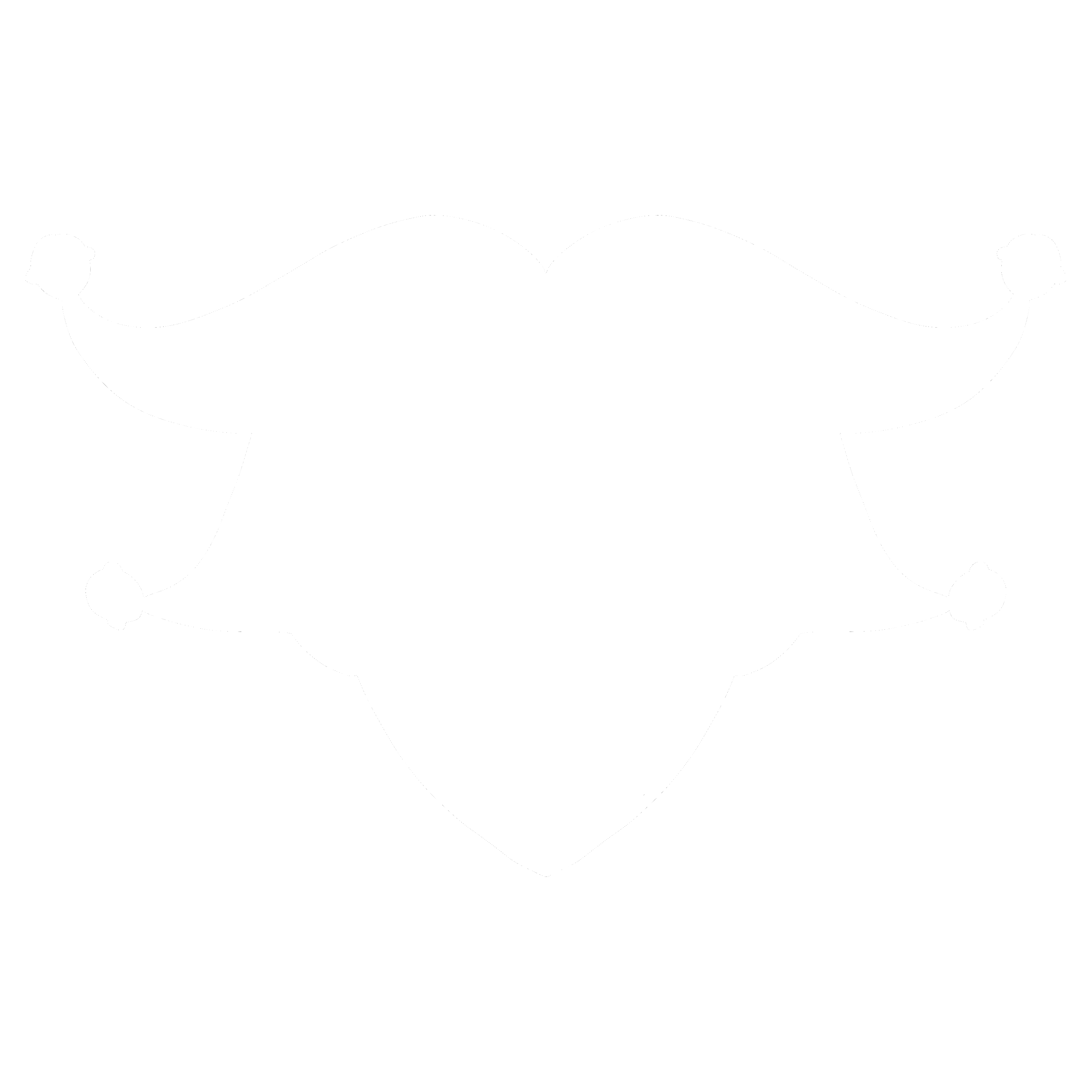 Author icon