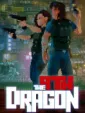 The 9th Dragon cover art