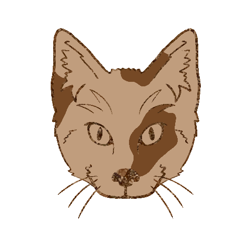 Author icon