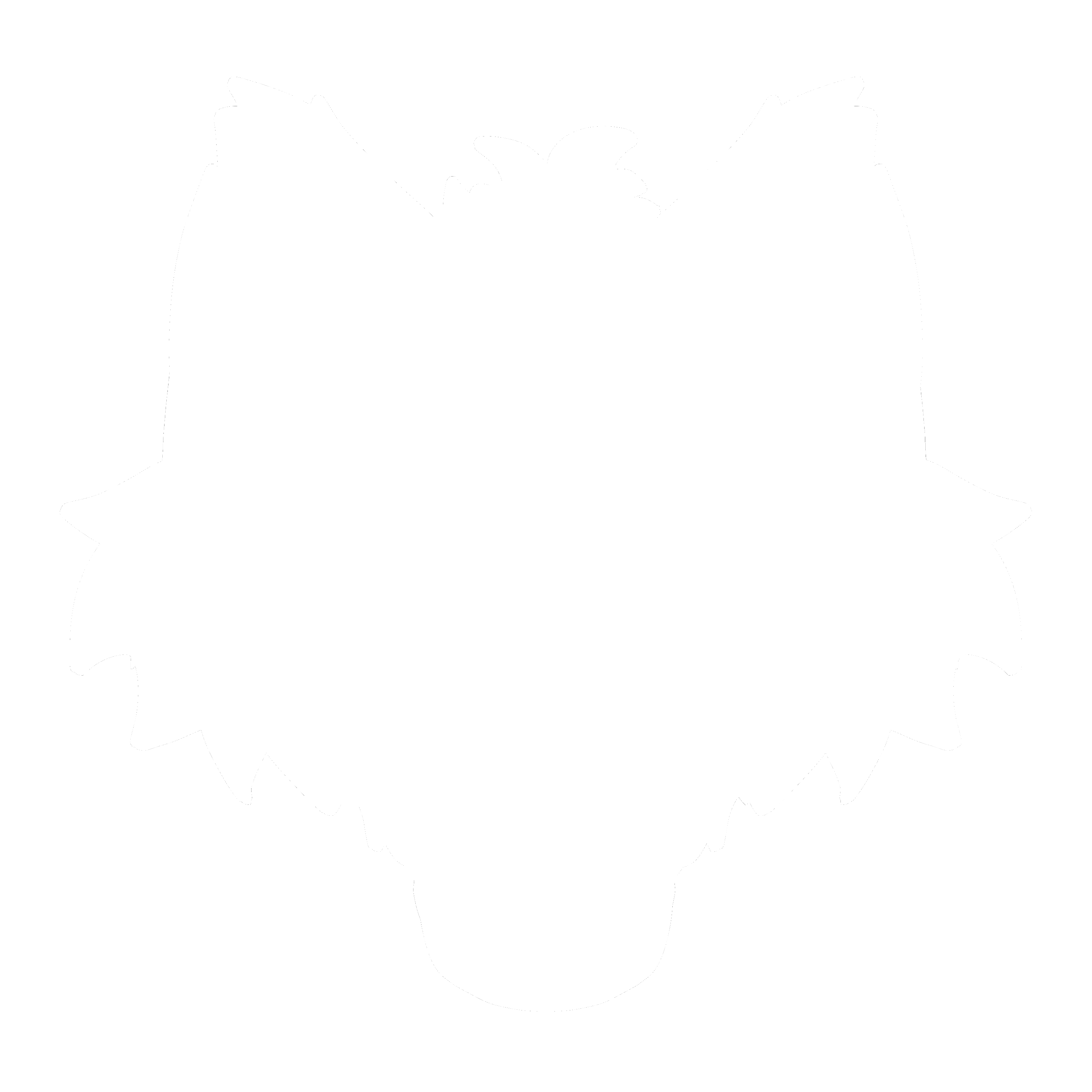 Author icon