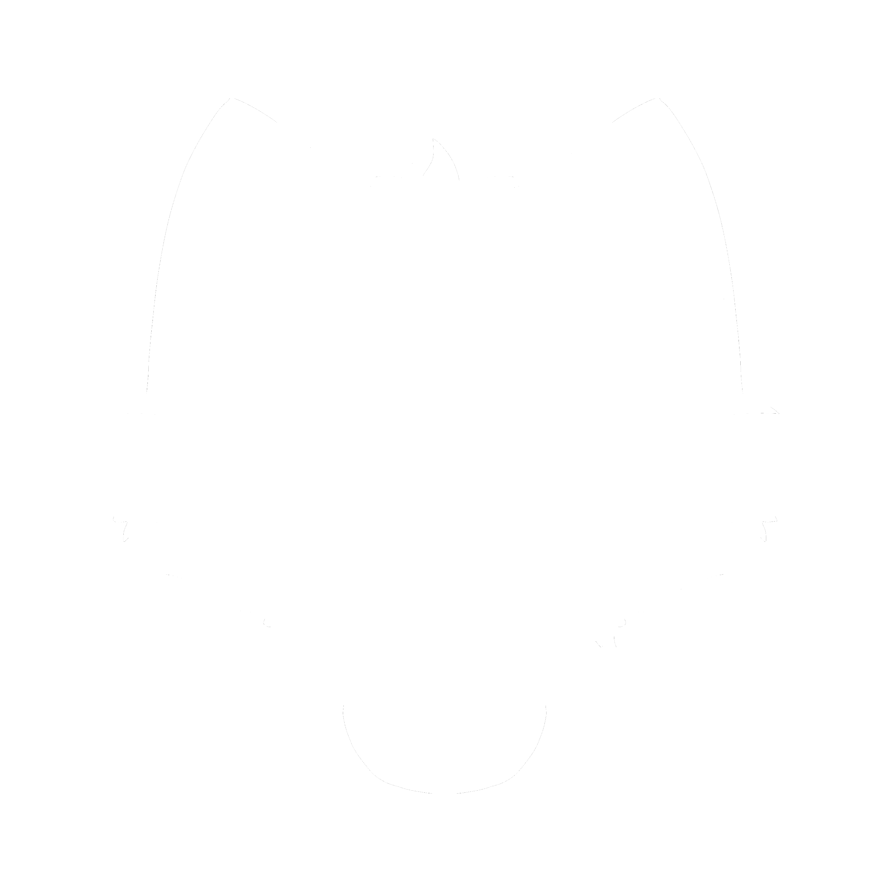 Author icon