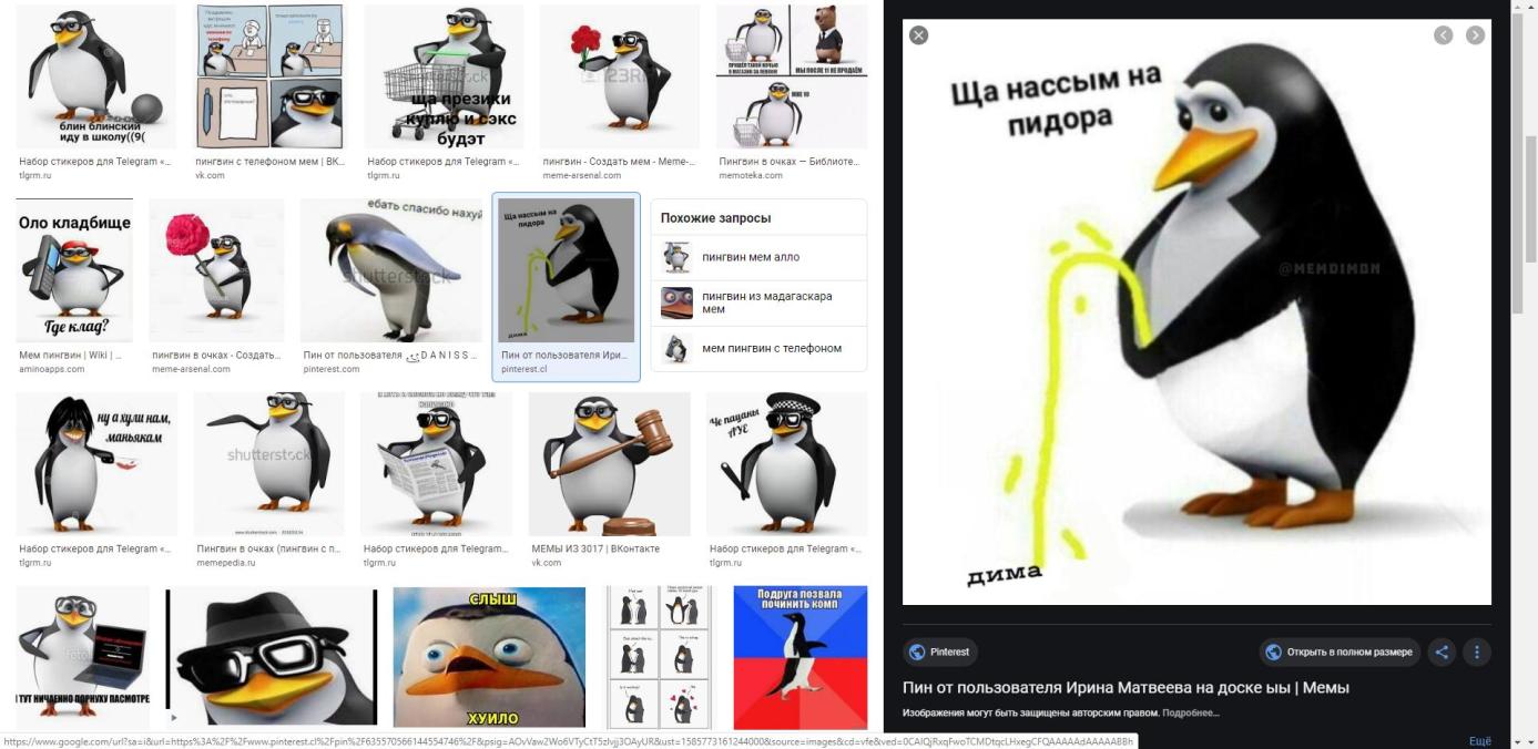 cobsJYL.jpg?width=1387&height=677