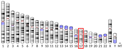 Arrestin beta 2