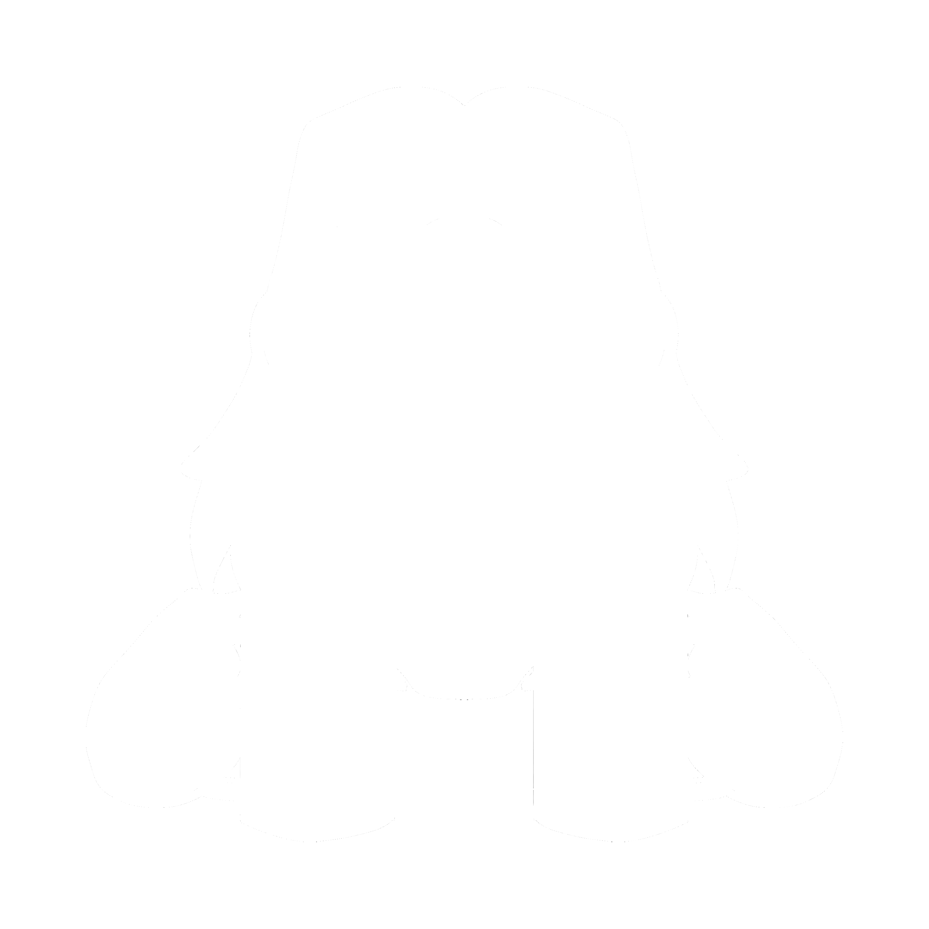 Author icon