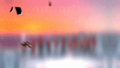 giphy.gif