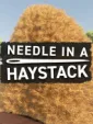 Needle In A Haystack cover art