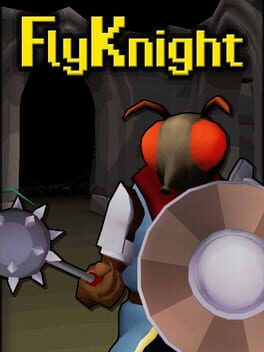 FlyKnight cover art