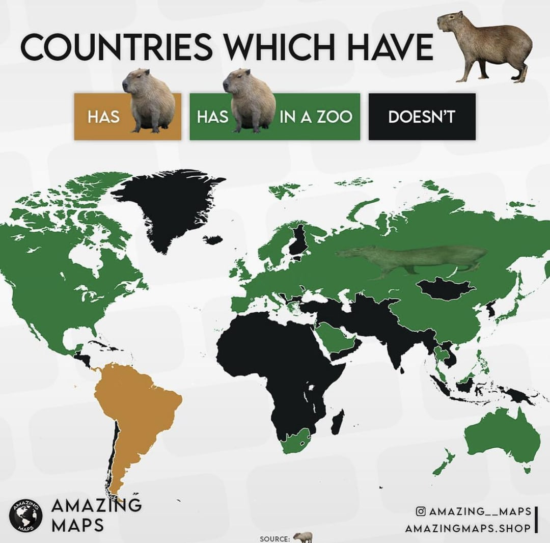 which-countries-have-capybaras-v0-cqtpui4mjtbc1.jpeg