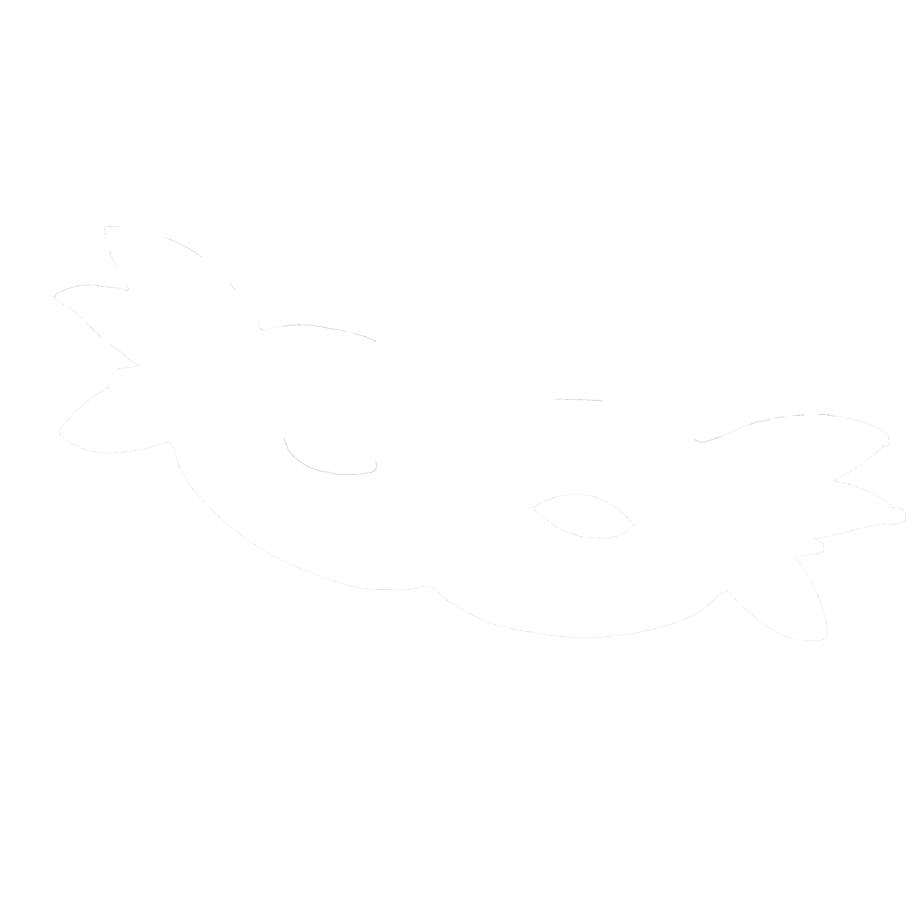 Author icon