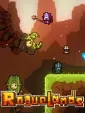 Roguelands cover art