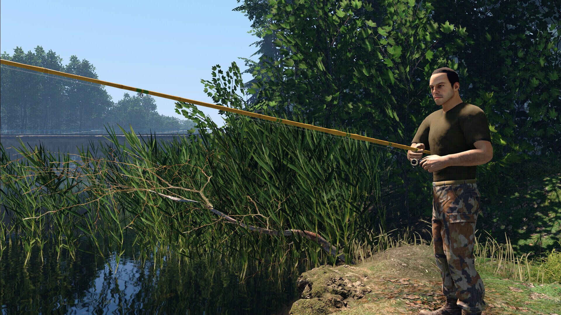 Professional Fishing 2 screenshot 5