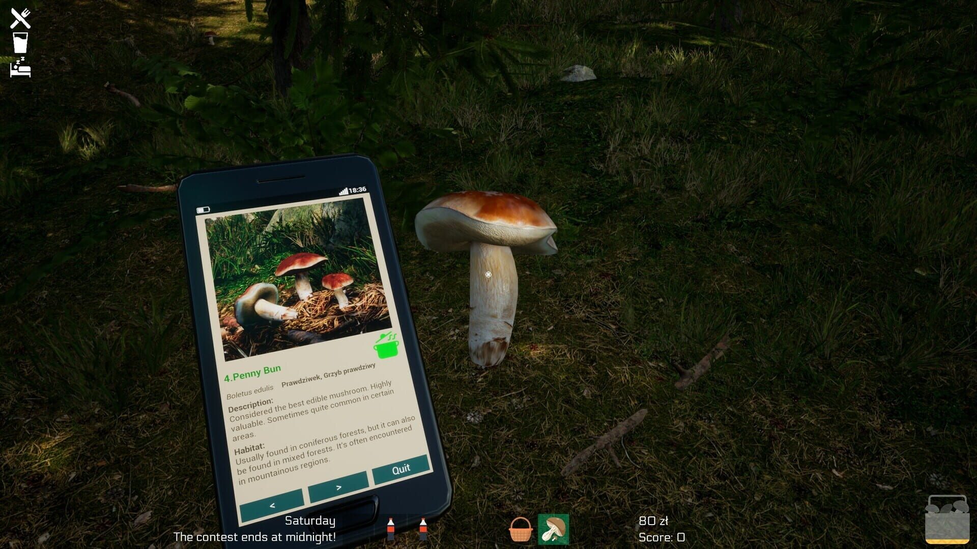 Mushroom Season screenshot 5