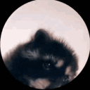namelessdk's Avatar