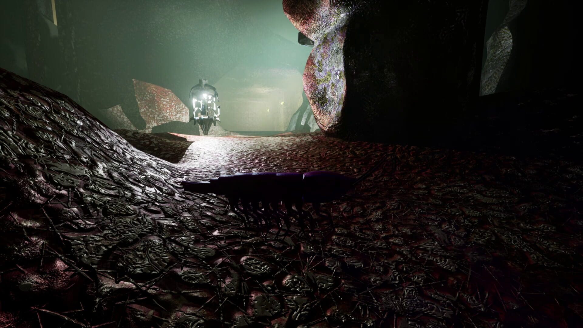 Shrimp screenshot 2