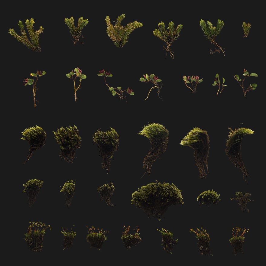 Quixel Moss Pieces