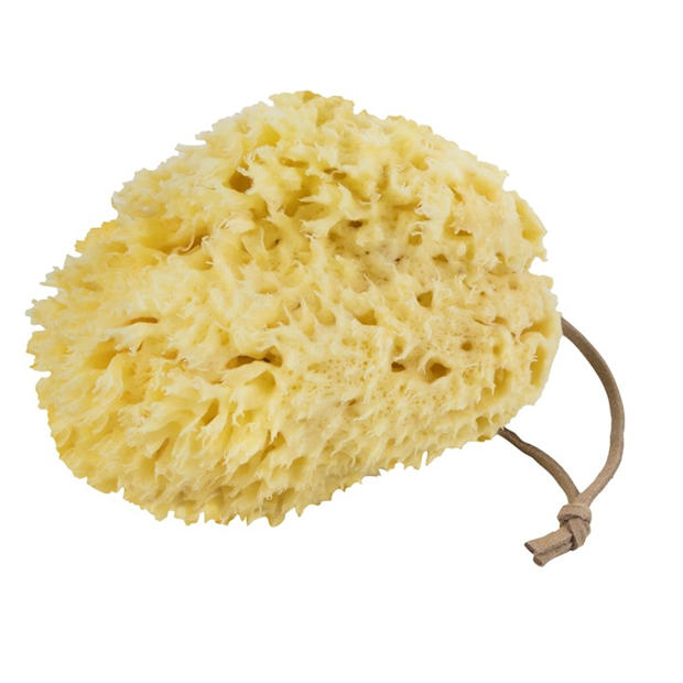 Mette Ditmer Denmark: Mette Ditmer Denmark MetteDitmerDenmark Body Sponge