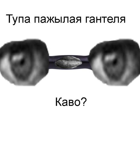 Luz2oQdPAis.jpg?width=465&height=559