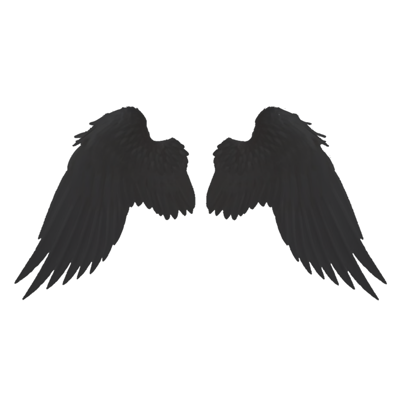 larger image, keep the wings if you want!