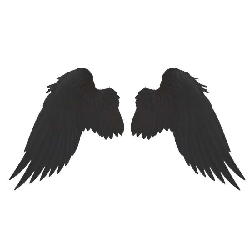 larger image, keep the wings if you want! larger image, keep the wings if you want!