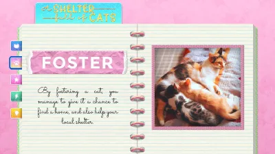 A Shelter Full of Cats screenshot 7