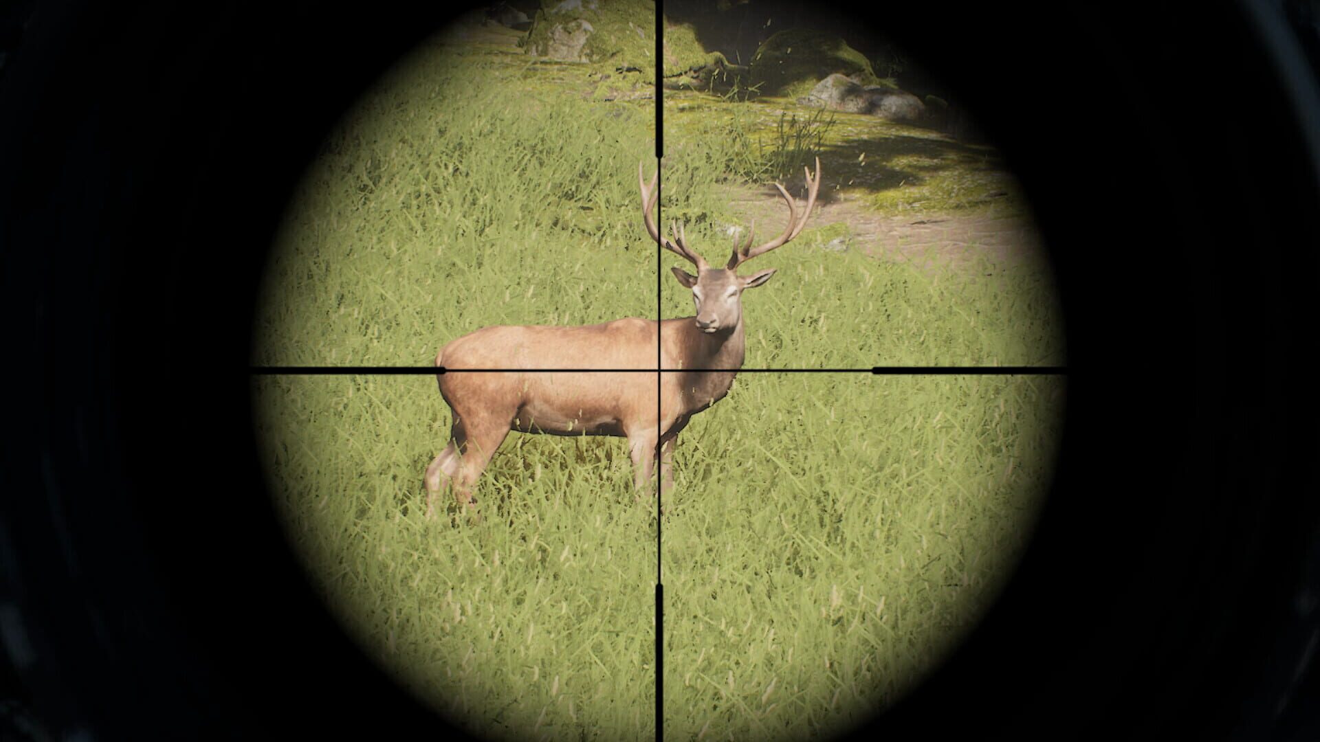 Project Hunt screenshot 3