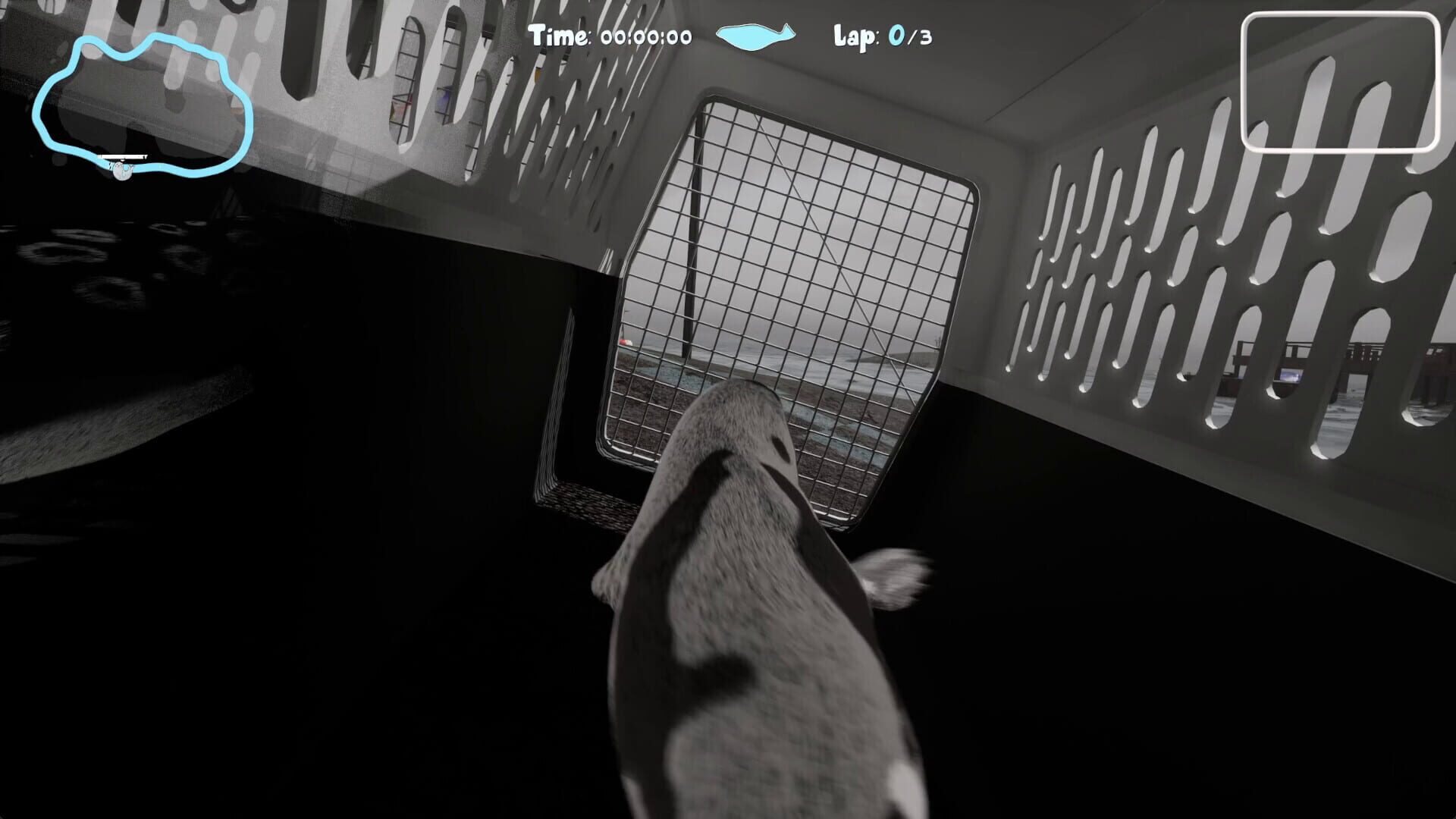 Flipper Frenzy screenshot 10
