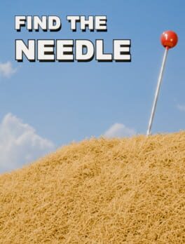 Find The Needle cover art