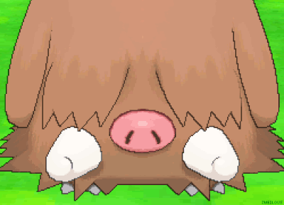 tumblr_mvq1wqy9G01qau6z9o2_500.gif