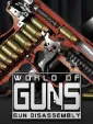 World of Guns: Gun Disassembly cover art