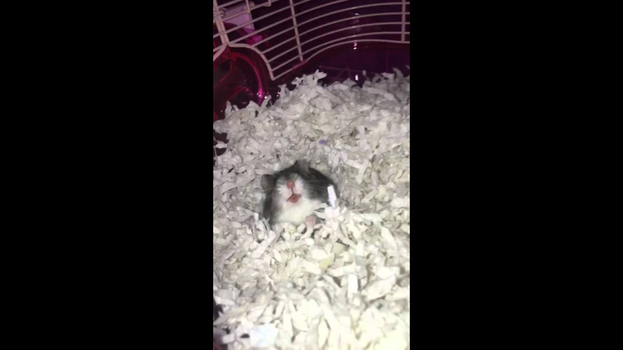 YouTube video thumbnail