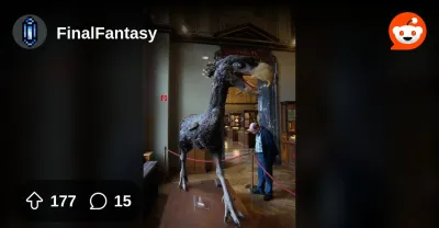 From the FinalFantasy community on Reddit: Short-Feathered Black Ch...