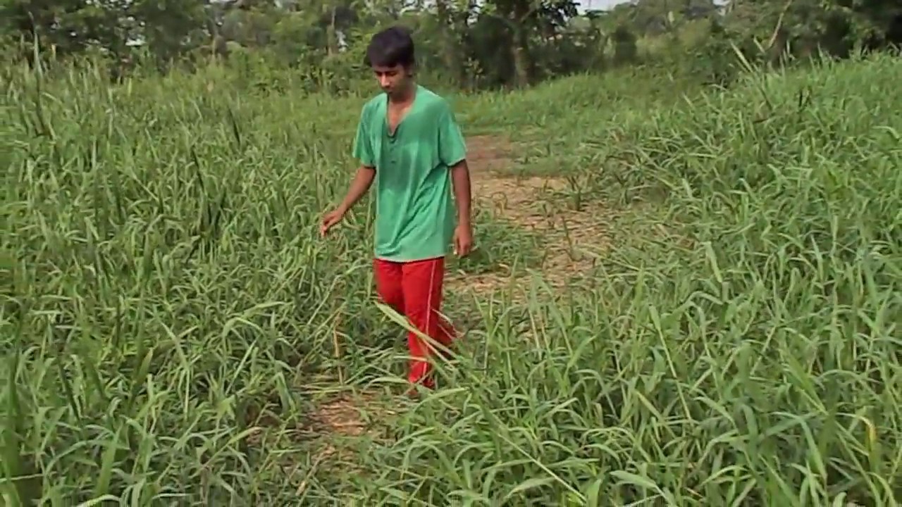 YouTube video thumbnail