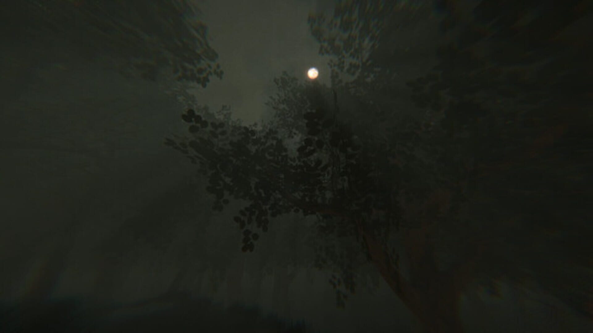 NO STRANGERS screenshot 2