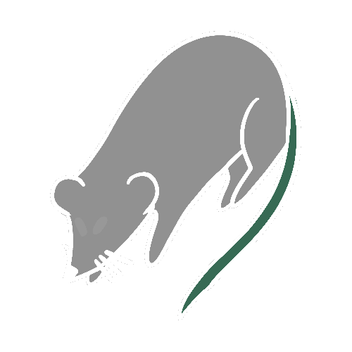 Author icon