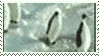 Alt Tag