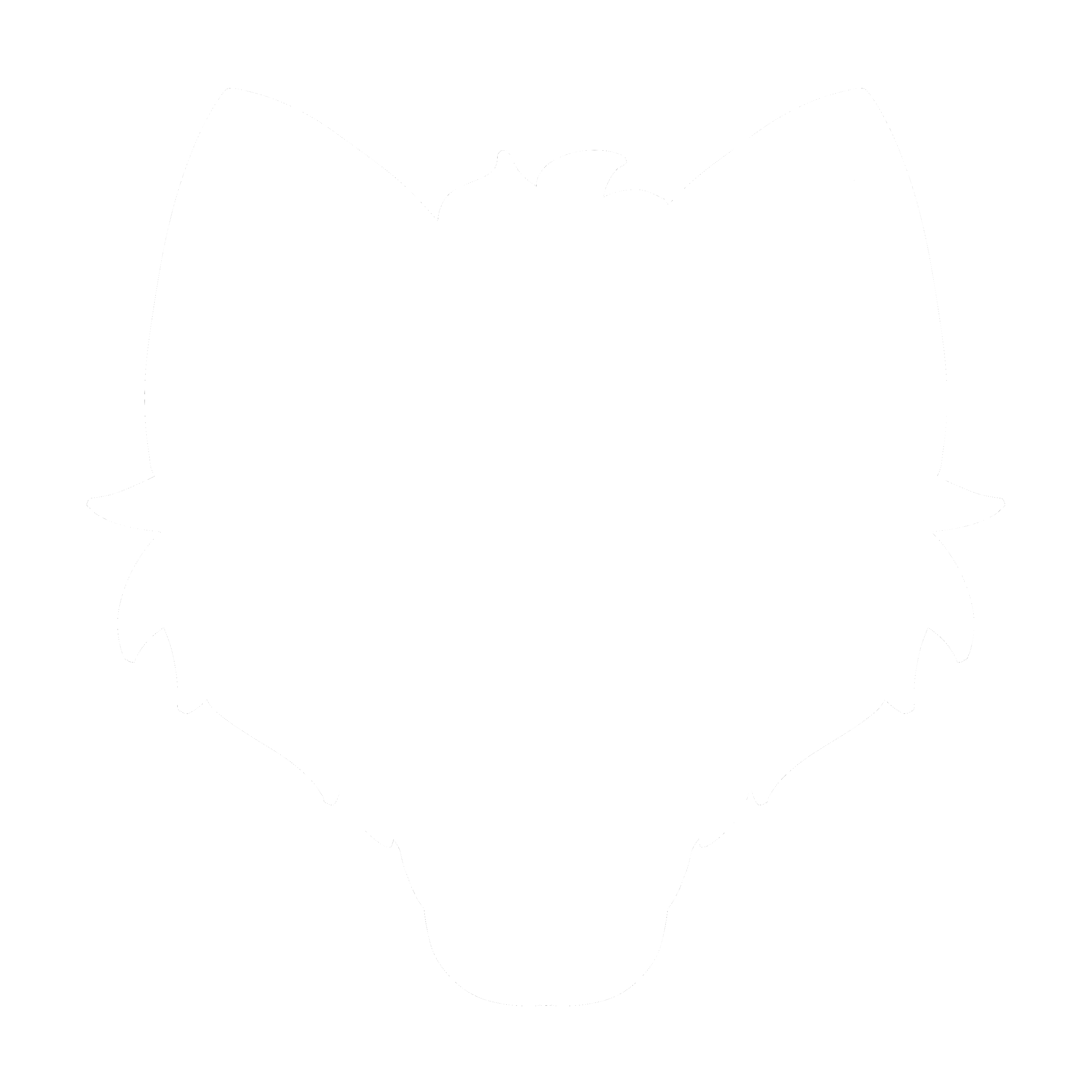 Author icon