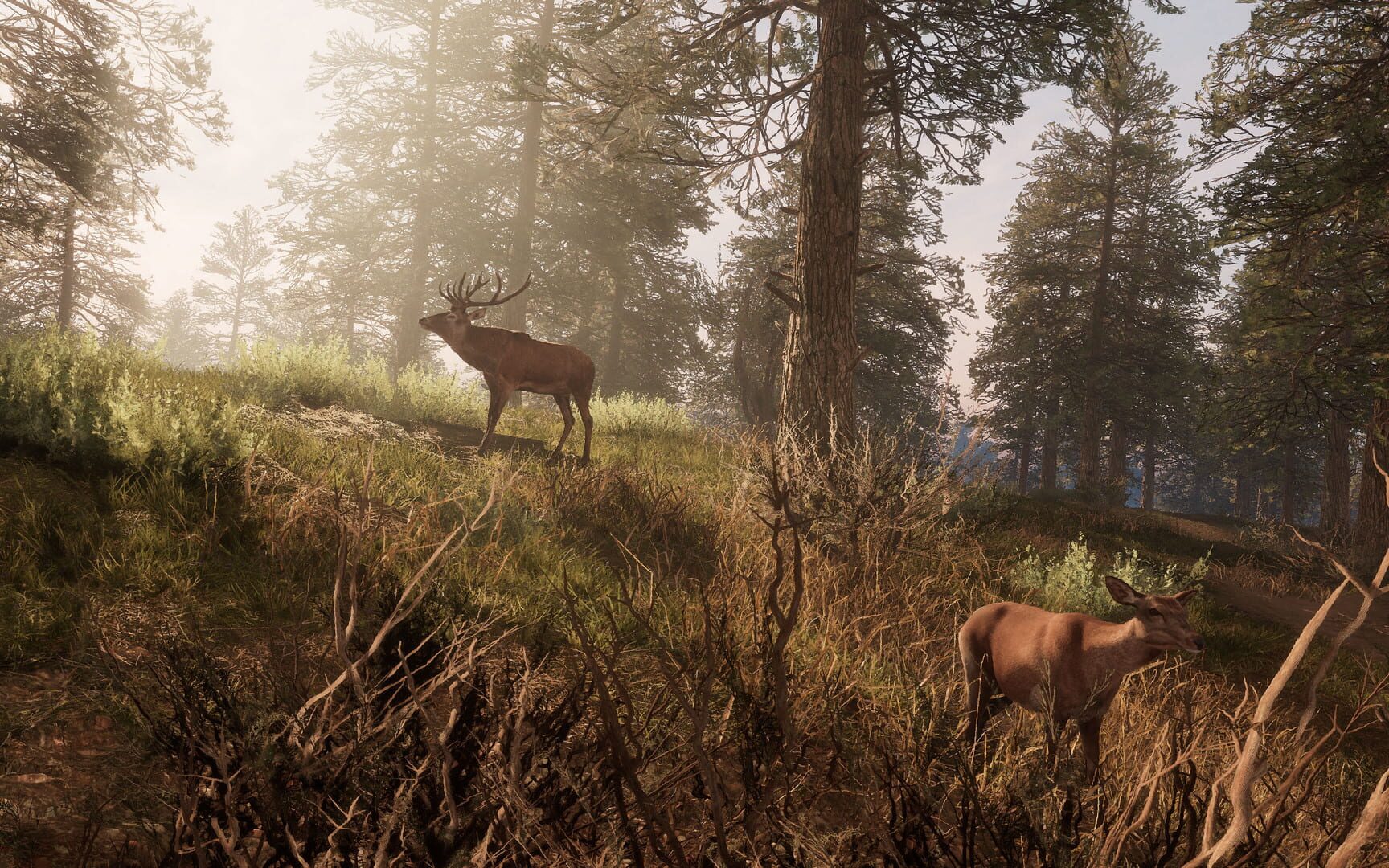 A Twisted Path To Renown screenshot 12
