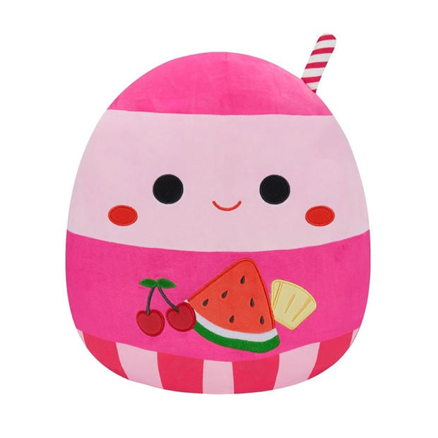 Squishmallows: Squishmallows Plush Toy