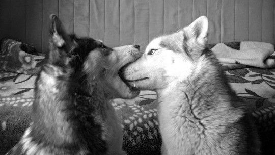 [Image: HDO95BsXIAAY_rH.jpg%3Alarge?format=png]