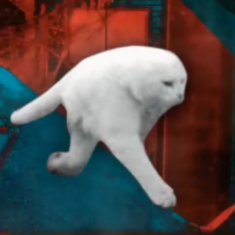 Footer icon