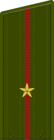 800px-Russia-Army-OF-1a-2010.svg.png?width=178&height=459