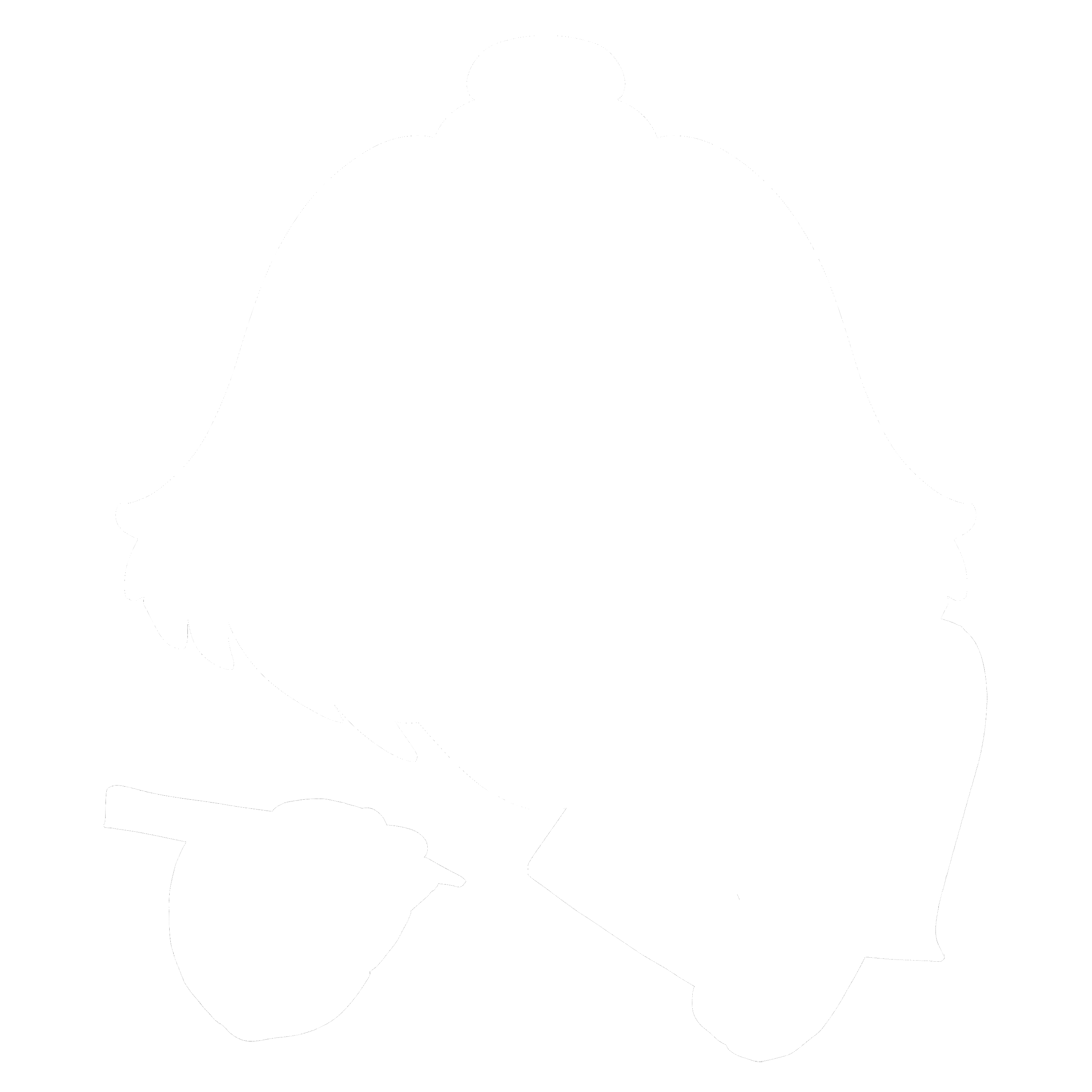 Author icon