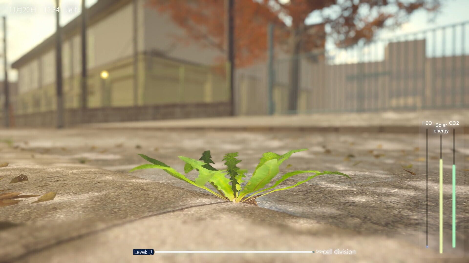 The Dandelion Endures. screenshot 5