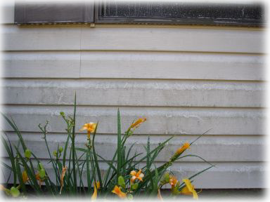 Vinyl Siding Before