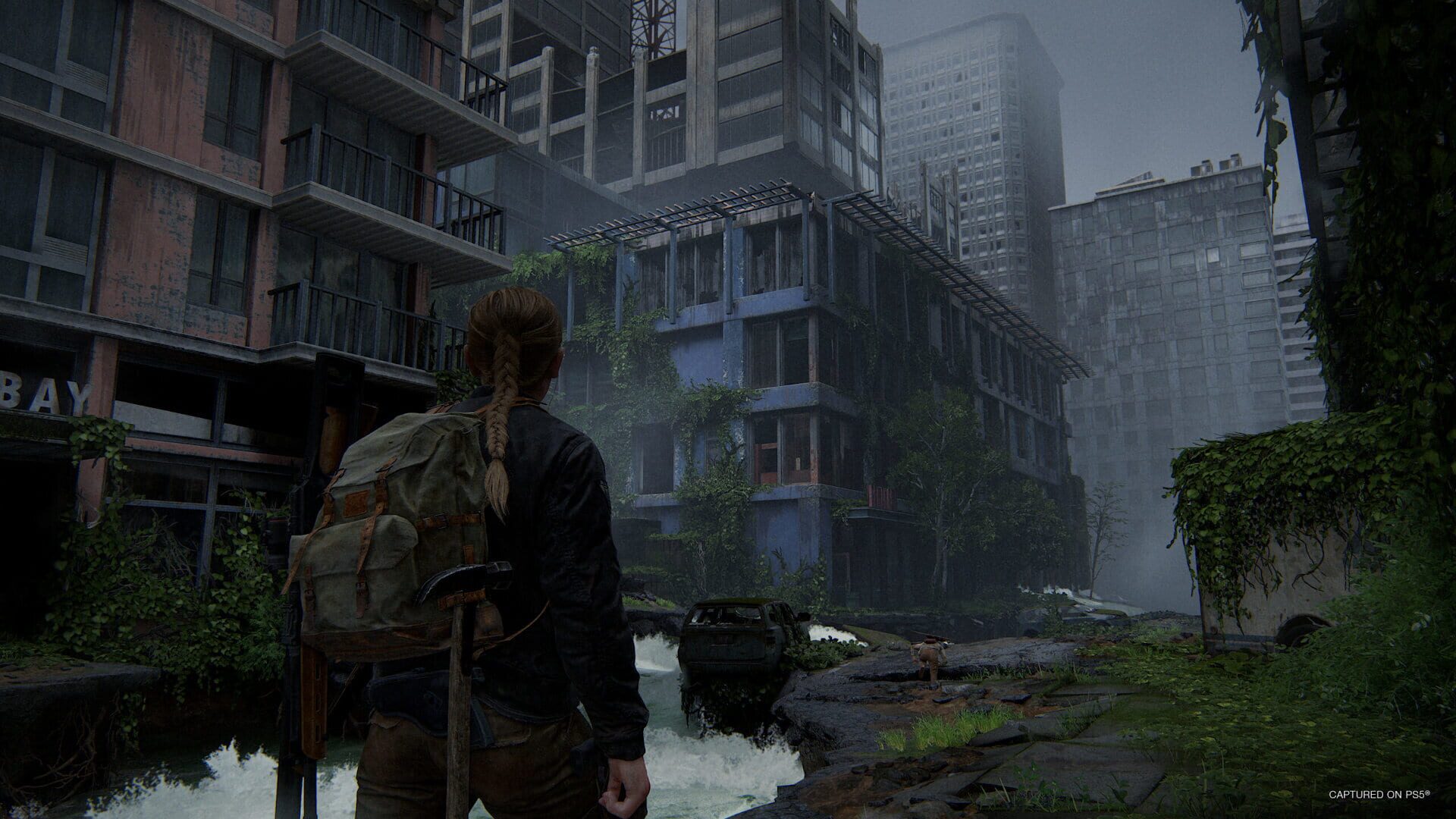 The Last of Us Part II Remastered screenshot 9