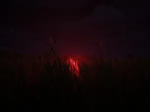 The Backrooms: Lost Tape screenshot 5