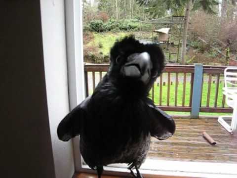 Ravenmania - Nevermore!