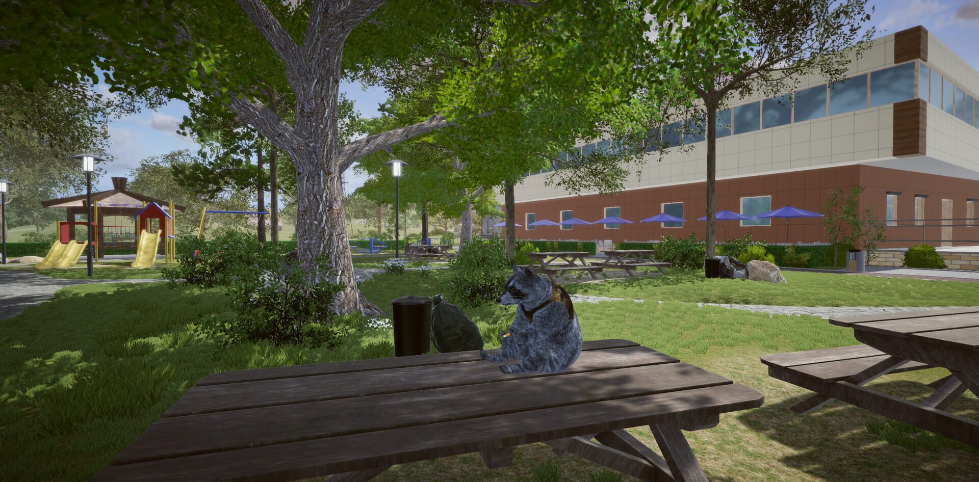 Wanted Raccoon screenshot 6