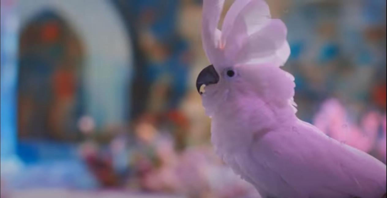 vBPQMqe.jpg?width=1265&height=648